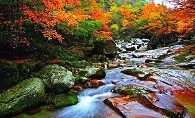 李侍御归炭谷山居，同宿华严寺