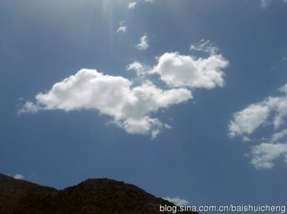 自湘赴广道间杂咏·兰花