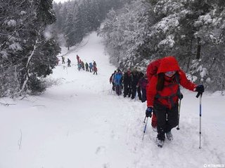 被旨暂摄四明已具舟而雪作王诚之有诗相饯次