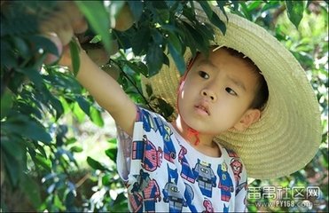 寄李子粲