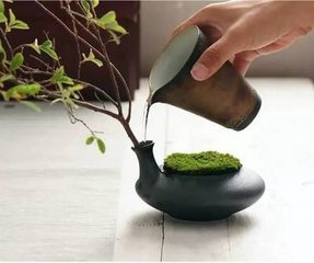 别敖器之
