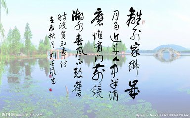 和知章诗