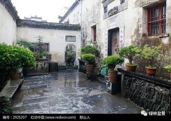 和无适四时赋雪梅