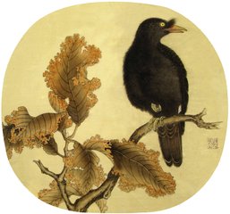 鸜鹆谣