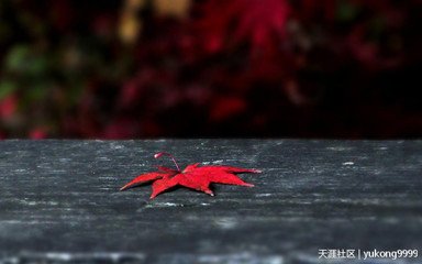 怀友人二首