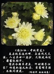 临江仙·最好中秋秋夜月