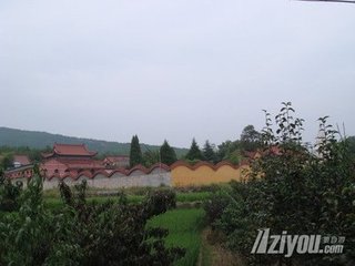 送僧游缙云