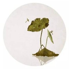 临江仙·圣主临轩亲策试