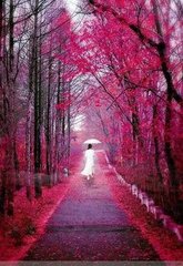 寿栎堂前小山峰凌霄花盛开，葱蒨如画，因名