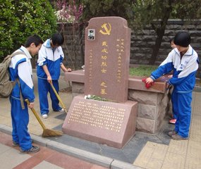 属者观池槛清明泉激石立芦丛交碧文禽并绚翛