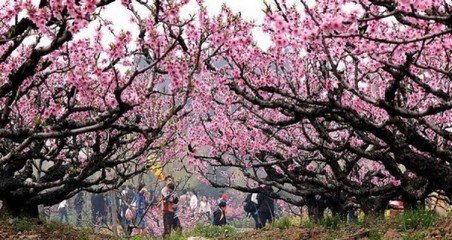 初入集贤院赠李献仁（曾于常山联官）