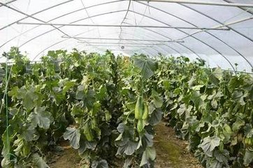再次竹溪韵