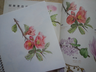 于飞乐（为海棠作）