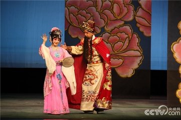 和赵华颠梅花