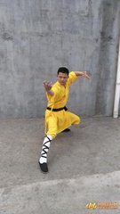 用前韵自述