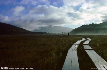 方郑叔详回得花满盘作短诗以寄