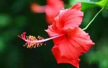 虞美人（和孔纯老送郑深道守严州）