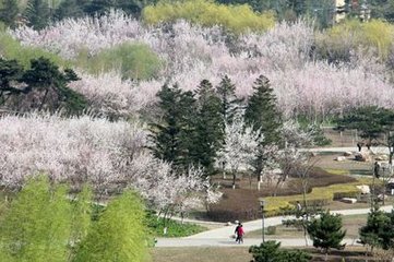 和外舅夙兴三首