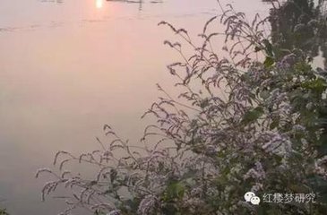 燕归梁·帐掩秋风一半开