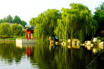 春游乐