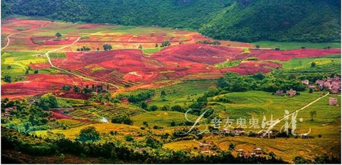 龙州（十首）