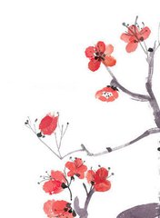 金字经·夜来西风里