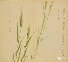 公辨再赠，复次韵