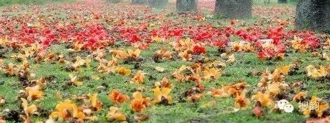 扫花游·送春古江村