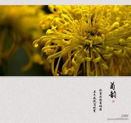 伯骏同官以仆祷雨龙渊屡效百里荐岁熙和官曹
