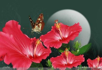 耳鸣