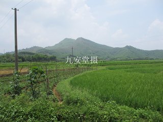 留题徐真君祠堂东西二室