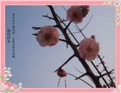 送徐玑