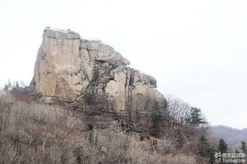 送通守赵积中朝议请祠归天台