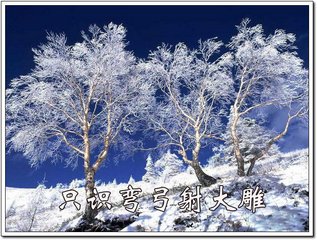 沁园春（无为灯夕上陆史君）