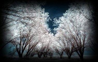 汉宫春（雪）