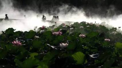 鹧鸪天·云到春飞若素期