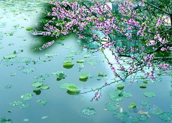 点绛唇 情景四首