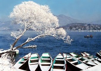 次雪舟进退韵