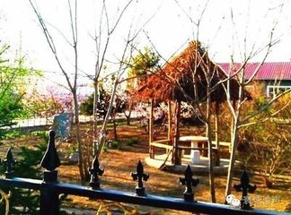 和张文学投赠
