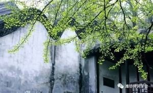 芰荷香·彩云闲