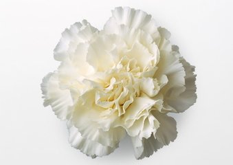 满庭芳（草窗老仙歌满庭芳寿余，勉次原韵）