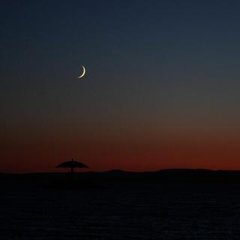 踏莎行·燕燕轻盈
