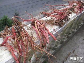 初入湘中有喜
