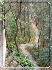 玉岑闲行口占