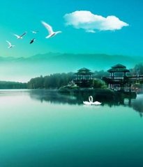 朝中措（五用韵戏呈）