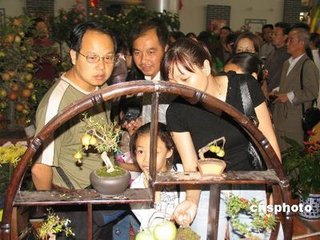 洞仙歌·温江异果