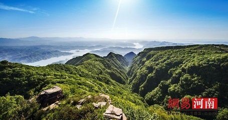 棠梨白练图