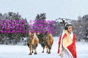 西行别东台详正学士