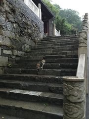 小孤庙