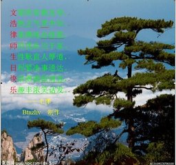 赠律师